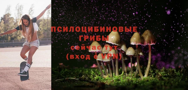 хмурый Абинск